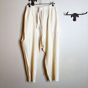 NWT Pilcro Linen pants - women's plus size 3x